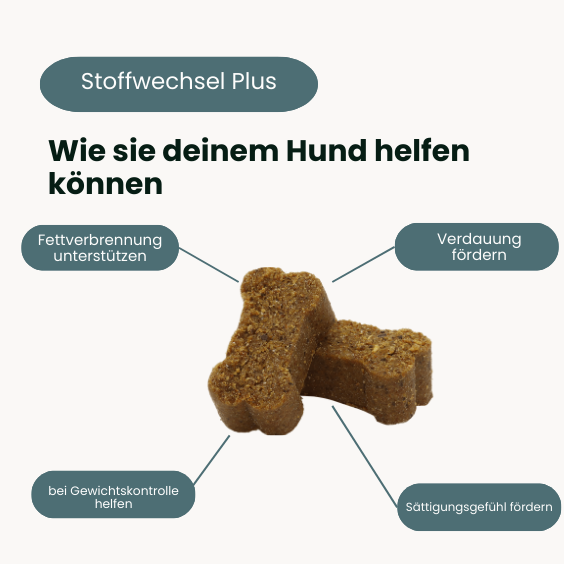 Stoffwechsel Plus