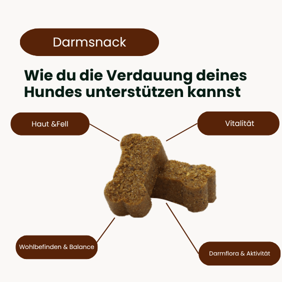 Darmflora Snack